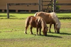 The Hermitage Farm