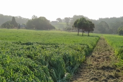 The Hermitage Farm